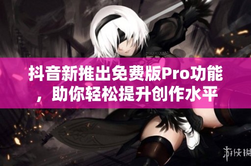抖音新推出免费版Pro功能，助你轻松提升创作水平