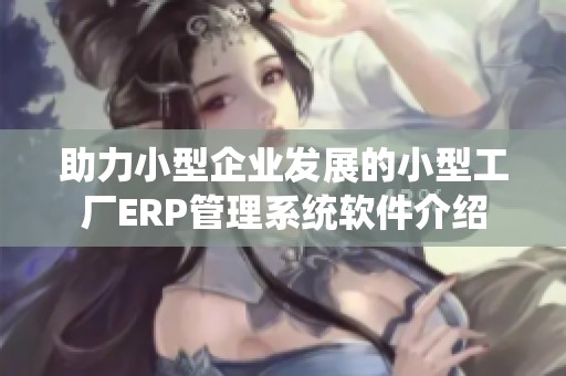 助力小型企业发展的小型工厂ERP管理系统软件介绍