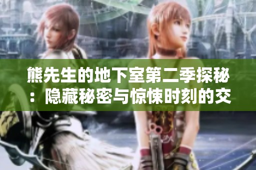 熊先生的地下室第二季探秘：隐藏秘密与惊悚时刻的交织