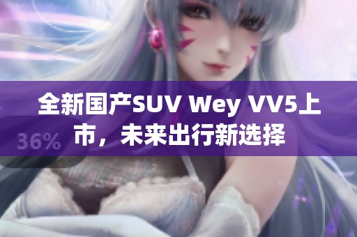 全新国产SUV Wey VV5上市，未来出行新选择
