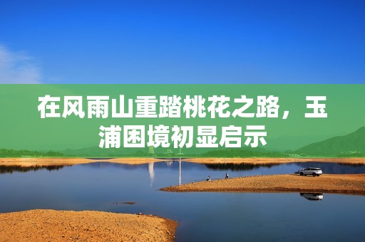 在风雨山重踏桃花之路，玉浦困境初显启示