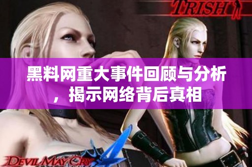 黑料网重大事件回顾与分析，揭示网络背后真相