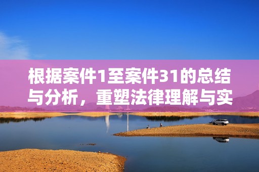 根据案件1至案件31的总结与分析，重塑法律理解与实践