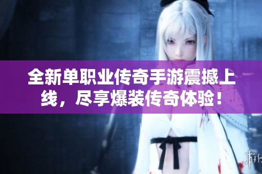 全新单职业传奇手游震撼上线，尽享爆装传奇体验！
