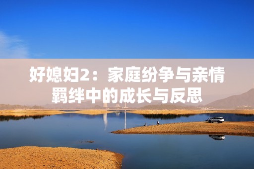 好媳妇2：家庭纷争与亲情羁绊中的成长与反思