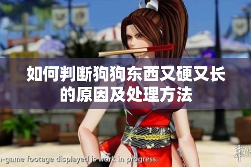 如何判断狗狗东西又硬又长的原因及处理方法