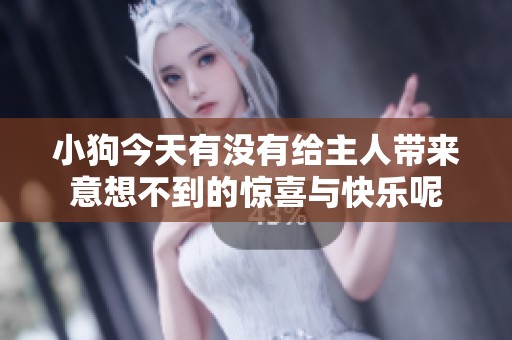 小狗今天有没有给主人带来意想不到的惊喜与快乐呢