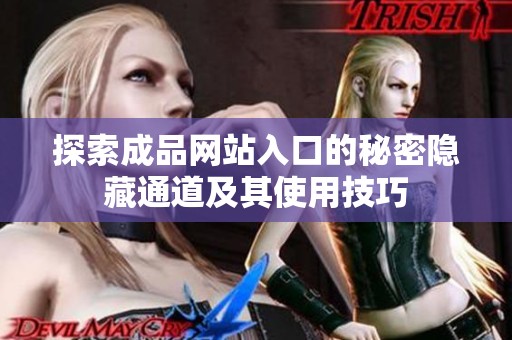 探索成品网站入口的秘密隐藏通道及其使用技巧