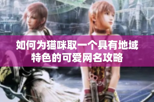 如何为猫咪取一个具有地域特色的可爱网名攻略