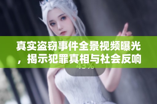 真实盗窃事件全景视频曝光，揭示犯罪真相与社会反响