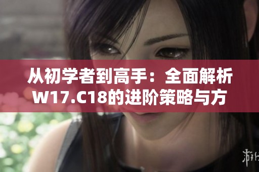 从初学者到高手：全面解析W17.C18的进阶策略与方法