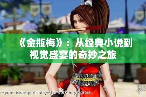 《金瓶梅》：从经典小说到视觉盛宴的奇妙之旅