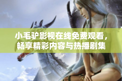 小毛驴影视在线免费观看，畅享精彩内容与热播剧集