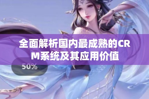 全面解析国内最成熟的CRM系统及其应用价值