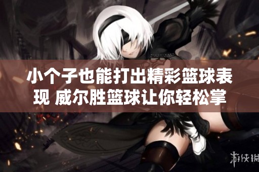 小个子也能打出精彩篮球表现 威尔胜篮球让你轻松掌控场上！