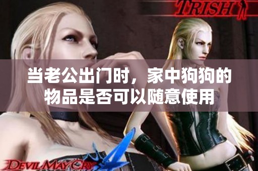 当老公出门时，家中狗狗的物品是否可以随意使用