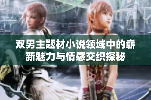 双男主题材小说领域中的崭新魅力与情感交织探秘