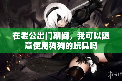 在老公出门期间，我可以随意使用狗狗的玩具吗