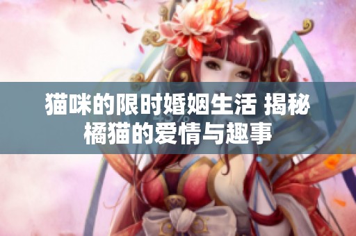 猫咪的限时婚姻生活 揭秘橘猫的爱情与趣事