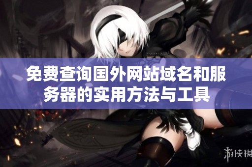 免费查询国外网站域名和服务器的实用方法与工具