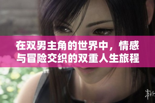 在双男主角的世界中，情感与冒险交织的双重人生旅程