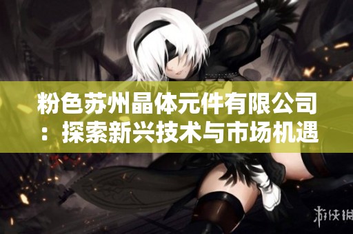 粉色苏州晶体元件有限公司：探索新兴技术与市场机遇