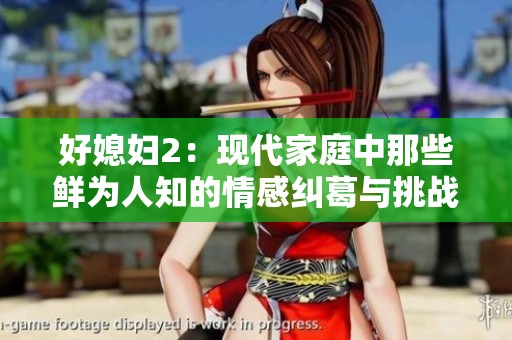 好媳妇2：现代家庭中那些鲜为人知的情感纠葛与挑战