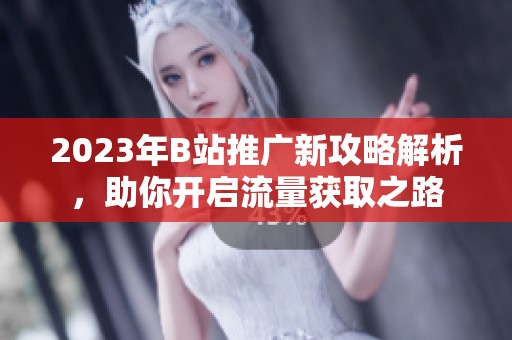 2023年B站推广新攻略解析，助你开启流量获取之路
