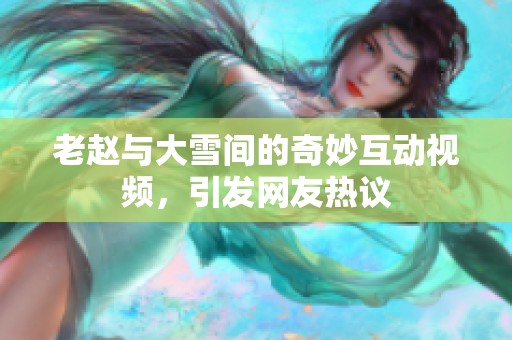 老赵与大雪间的奇妙互动视频，引发网友热议
