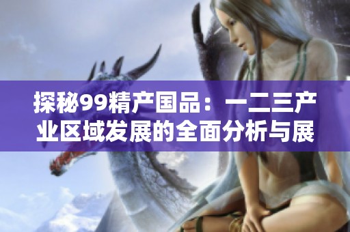 探秘99精产国品：一二三产业区域发展的全面分析与展望