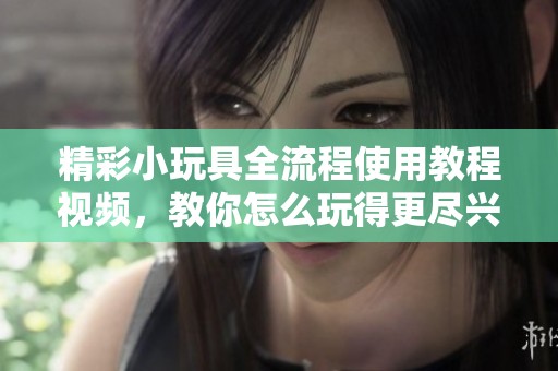 精彩小玩具全流程使用教程视频，教你怎么玩得更尽兴！