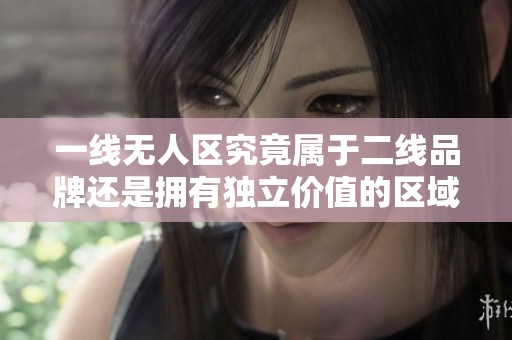 一线无人区究竟属于二线品牌还是拥有独立价值的区域