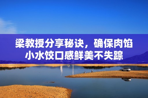 梁教授分享秘诀，确保肉馅小水饺口感鲜美不失踪