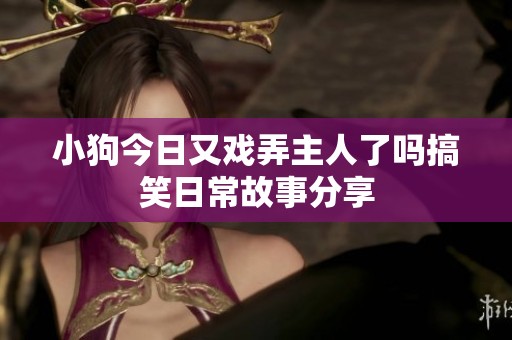 小狗今日又戏弄主人了吗搞笑日常故事分享