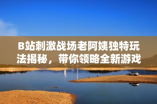 B站刺激战场老阿姨独特玩法揭秘，带你领略全新游戏体验