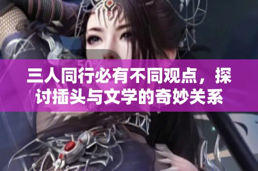 三人同行必有不同观点，探讨插头与文学的奇妙关系