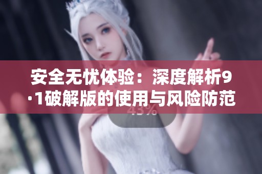 安全无忧体验：深度解析9·1破解版的使用与风险防范指南