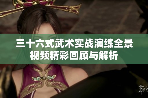 三十六式武术实战演练全景视频精彩回顾与解析