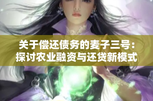 关于偿还债务的麦子三号：探讨农业融资与还贷新模式