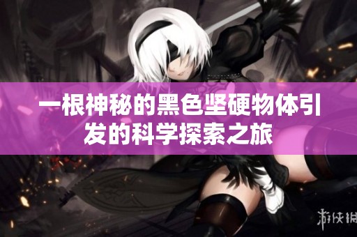 一根神秘的黑色坚硬物体引发的科学探索之旅