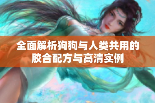 全面解析狗狗与人类共用的胶合配方与高清实例
