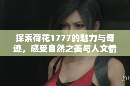 探索荷花1777的魅力与奇迹，感受自然之美与人文情怀