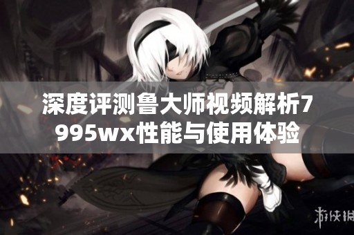 深度评测鲁大师视频解析7995wx性能与使用体验