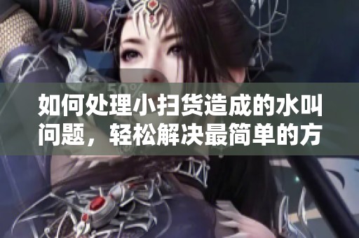 如何处理小扫货造成的水叫问题，轻松解决最简单的方法