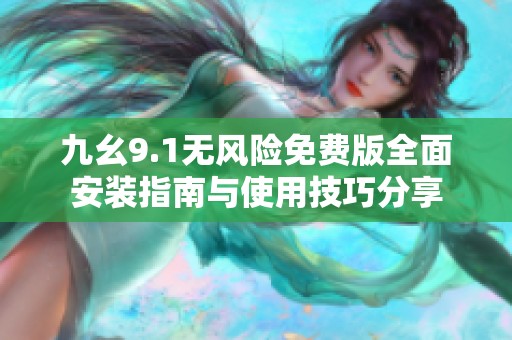 九幺9.1无风险免费版全面安装指南与使用技巧分享