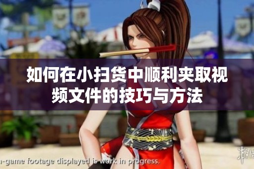 如何在小扫货中顺利夹取视频文件的技巧与方法