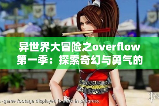 异世界大冒险之overflow第一季：探索奇幻与勇气的旅程