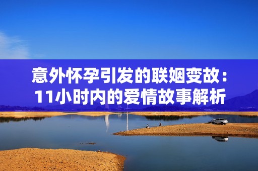 意外怀孕引发的联姻变故：11小时内的爱情故事解析
