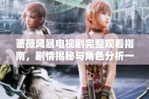 蔷薇风暴电视剧完整观看指南，剧情揭秘与角色分析一网打尽