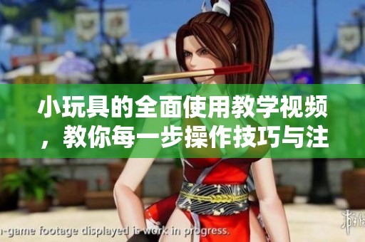 小玩具的全面使用教学视频，教你每一步操作技巧与注意事项
